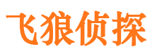 黄梅侦探社